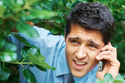 Businessman hiding in the bushes
