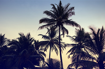 Just what a tropical vacation should look like