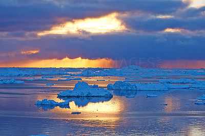 Arctic beauty