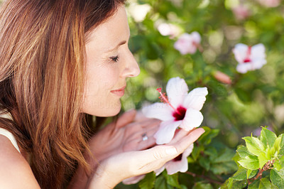 Enjoying a flower\'s fragrance - Nature