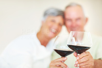 Mature couple toasting with wine