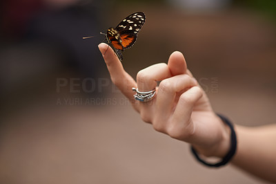Spread your wings and fly, beautiful butterfly