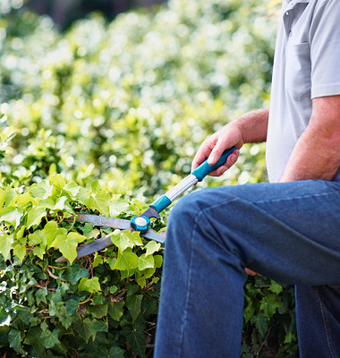 Mid section of a gardener trimming a bush