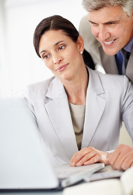 Middle aged business woman with her boss working on a laptop