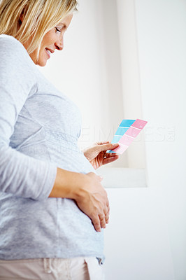 Mature pregnant lady choosing a colour to paint the wall