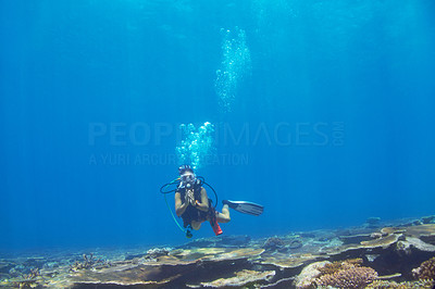 Peaceful explorer beneath the surface