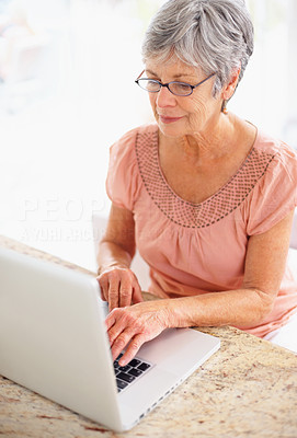 Smiling old lady browsing the internet at home