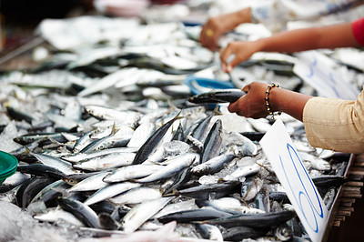 Thai fish market