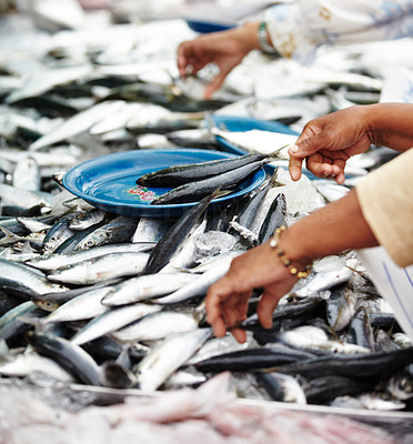 Thai fish vendor sorting fish