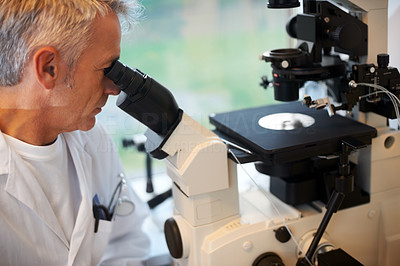 Mature medical doctor researching on a microscope