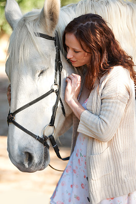 She\'s the new horse whisperer
