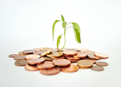 Make your money grow with our bank!