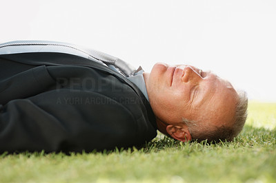 Middle aged business man sleeping on the grass