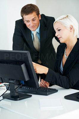 Business partners discussing a new project on computer