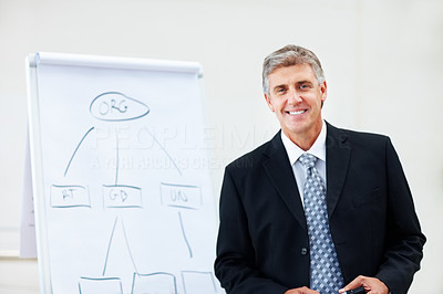Successful senior business executive along with a white chart board