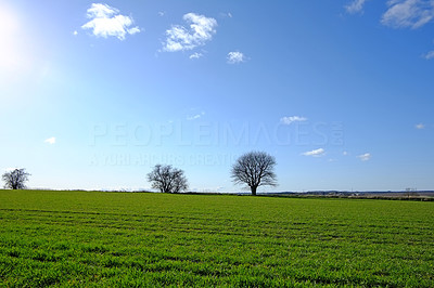 A photo of countryside in early spring - Denmark
