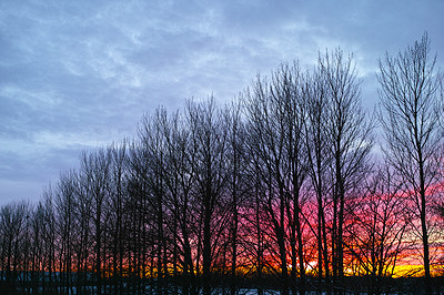 Winter\'s sunset