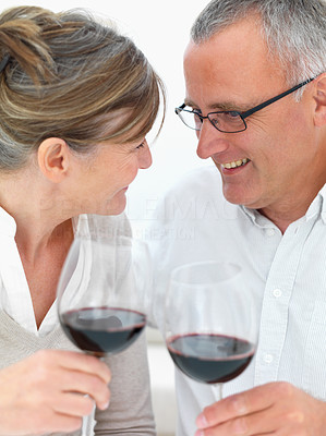 Happy old couple toasting wine