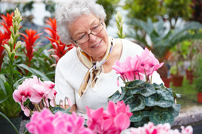 Senior woman holding flowers and smiling