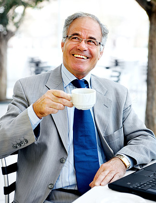 Older Businessman on a Break with his Laptop