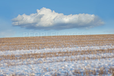 Farmland in winter - Denmark