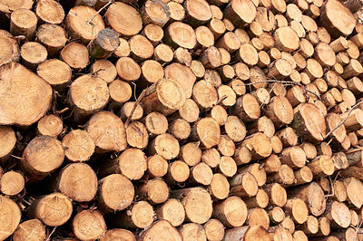 Woodpile - Lumber Industry