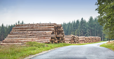 Lumber piles