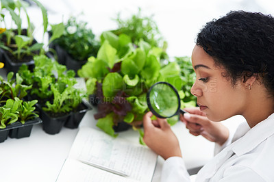 Plants are fascinating organisms to study