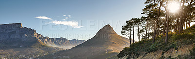 Table mountain and Lions Head