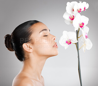 Buy stock photo Studio shot of an attractive young woman posing with a flower against a grey background