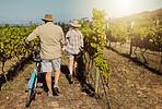 Full length of unknown senior couple walking and bonding together on vineyard. Caucasian husband and wife enjoying summer and pushing bicycle after wine tasting on weekend. Man and woman on wine farm