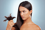 A young mixed race woman looking unhappy with her unhealthy hair against a grey background. Hispanic female expressing dissatisfaction at her split ends