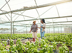 Two farming colleagues walking in a garden. Happy farmers talking, planning in a greenhouse. Two african american farmers walking in their plant nursery. Smiling farmers collaborating.